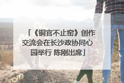 《铜官不止窑》创作交流会在长沙政协同心园举行 陈刚出席