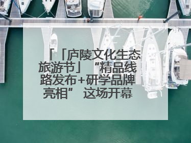 「庐陵文化生态旅游节」“精品线路发布+研学品牌亮相” 这场开幕式亮点纷呈！
