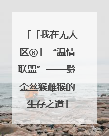 「我在无人区⑧」“温情联盟”——黔金丝猴雌猴的生存之道