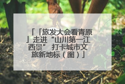 「旅发大会看青原」走进“山川第一江西景” 打卡城市文旅新地标（图）
