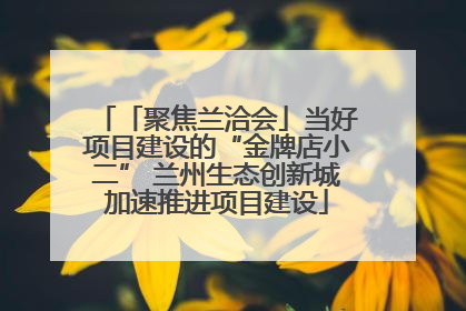 「聚焦兰洽会」当好项目建设的“金牌店小二” 兰州生态创新城加速推进项目建设
