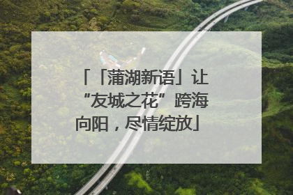 「蒲湖新语」让“友城之花”跨海向阳，尽情绽放