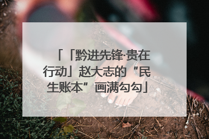 「黔进先锋·贵在行动」赵大志的“民生账本”画满勾勾