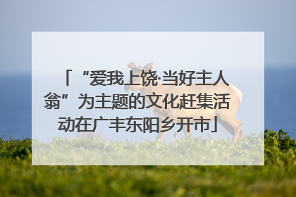“爱我上饶·当好主人翁”为主题的文化赶集活动在广丰东阳乡开市