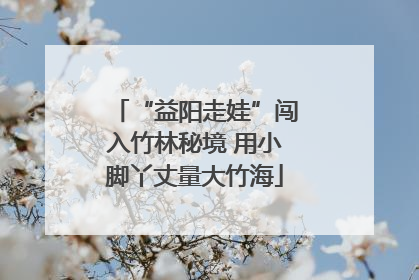“益阳走娃”闯入竹林秘境 用小脚丫丈量大竹海