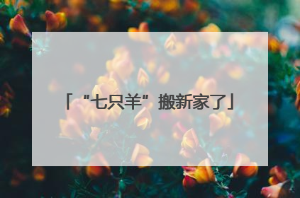 “七只羊”搬新家了