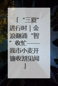 “三夏”进行时｜金浪翻涌“智”收忙——我市小麦开镰收割见闻