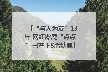 “与人为友”13年 网红麋鹿“点点”已产下8胎幼崽