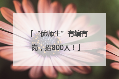 “优师生”有编有岗，招800人！