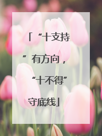 “十支持”有方向，“十不得”守底线