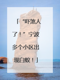 “吓煞人了！”宁波多个小区出现白蚁！