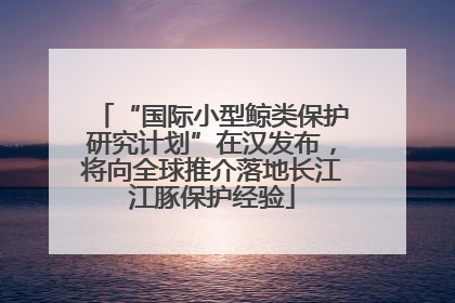 “国际小型鲸类保护研究计划”在汉发布，将向全球推介落地长江江豚保护经验