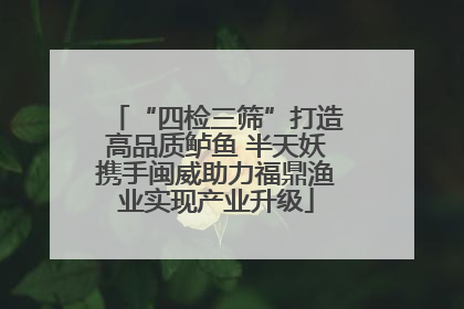 “四检三筛”打造高品质鲈鱼 半天妖携手闽威助力福鼎渔业实现产业升级