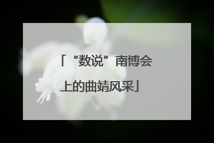 “数说”南博会上的曲靖风采
