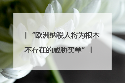 “欧洲纳税人将为根本不存在的威胁买单”