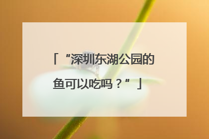 “深圳东湖公园的鱼可以吃吗？”