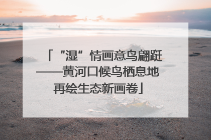 “湿”情画意鸟翩跹——黄河口候鸟栖息地再绘生态新画卷