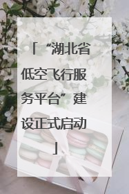 “湖北省低空飞行服务平台”建设正式启动