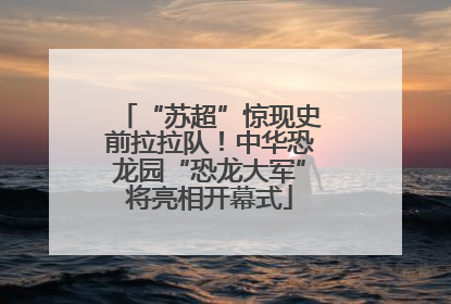 “苏超”惊现史前拉拉队！中华恐龙园“恐龙大军”将亮相开幕式