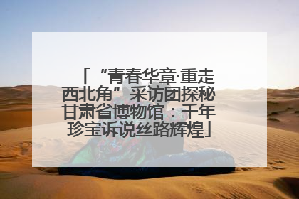 “青春华章·重走西北角”采访团探秘甘肃省博物馆：千年珍宝诉说丝路辉煌
