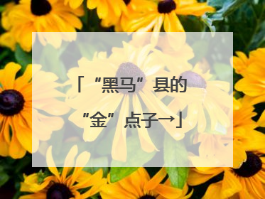 “黑马”县的“金”点子→