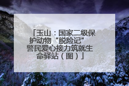 玉山：国家二级保护动物“脱险记” 警民爱心接力筑就生命驿站（图）