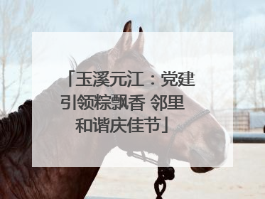 玉溪元江：党建引领粽飘香 邻里和谐庆佳节