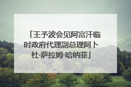 王予波会见阿富汗临时政府代理副总理阿卜杜·萨拉姆·哈纳菲