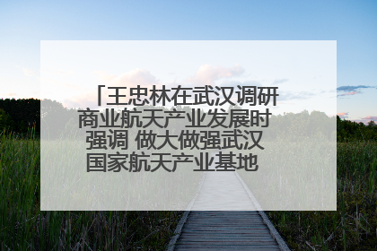 王忠林在武汉调研商业航天产业发展时强调 做大做强武汉国家航天产业基地 打造具有全国影响力的“中国星谷”