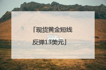 现货黄金短线反弹13美元
