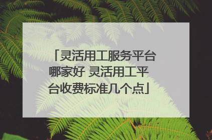 灵活用工服务平台哪家好 灵活用工平台收费标准几个点