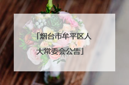 烟台市牟平区人大常委会公告