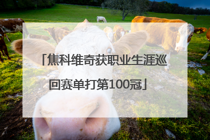 焦科维奇获职业生涯巡回赛单打第100冠