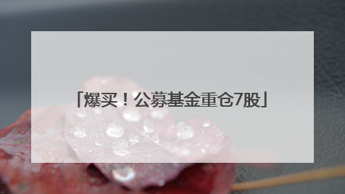 爆买！公募基金重仓7股