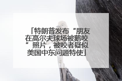 特朗普发布“朋友在高尔夫球场被鹅咬”照片，被咬者疑似美国中东问题特使