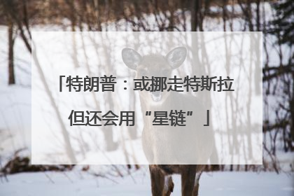 特朗普：或挪走特斯拉 但还会用“星链”