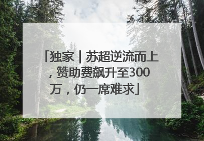 独家｜苏超逆流而上，赞助费飙升至300万，仍一席难求
