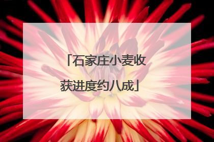 石家庄小麦收获进度约八成