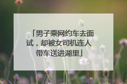 男子乘网约车去面试，却被女司机连人带车送进湖里