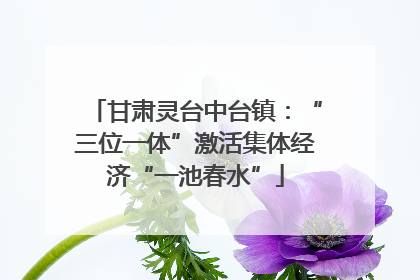 甘肃灵台中台镇：“三位一体”激活集体经济“一池春水”