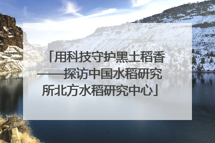 用科技守护黑土稻香——探访中国水稻研究所北方水稻研究中心