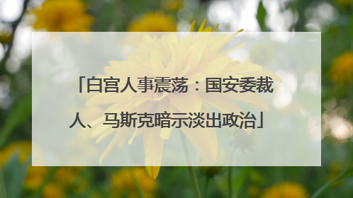 白宫人事震荡：国安委裁人、马斯克暗示淡出政治