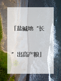 盐碱地“长”出高产粮