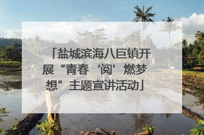 盐城滨海八巨镇开展“青春‘阅’燃梦想”主题宣讲活动