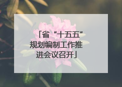 省“十五五”规划编制工作推进会议召开