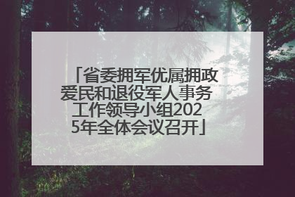 省委拥军优属拥政爱民和退役军人事务工作领导小组2025年全体会议召开