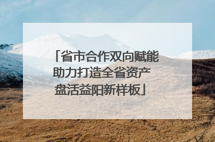 省市合作双向赋能 助力打造全省资产盘活益阳新样板