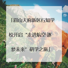 眉山天府新区行知学校开启“走进航空·逐梦未来”研学之旅