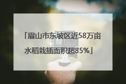 眉山市东坡区近58万亩水稻栽插面积超85%