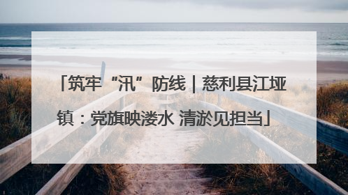 筑牢“汛”防线｜慈利县江垭镇：党旗映溇水 清淤见担当